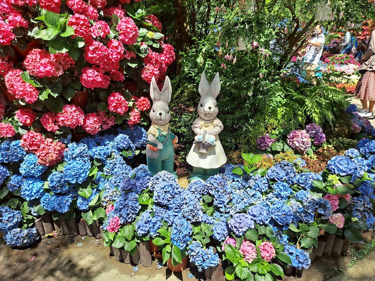 兔子與繡花球